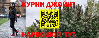 скорость Дубна