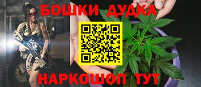 скорость Дубна