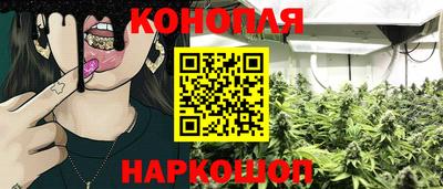 скорость Дубна